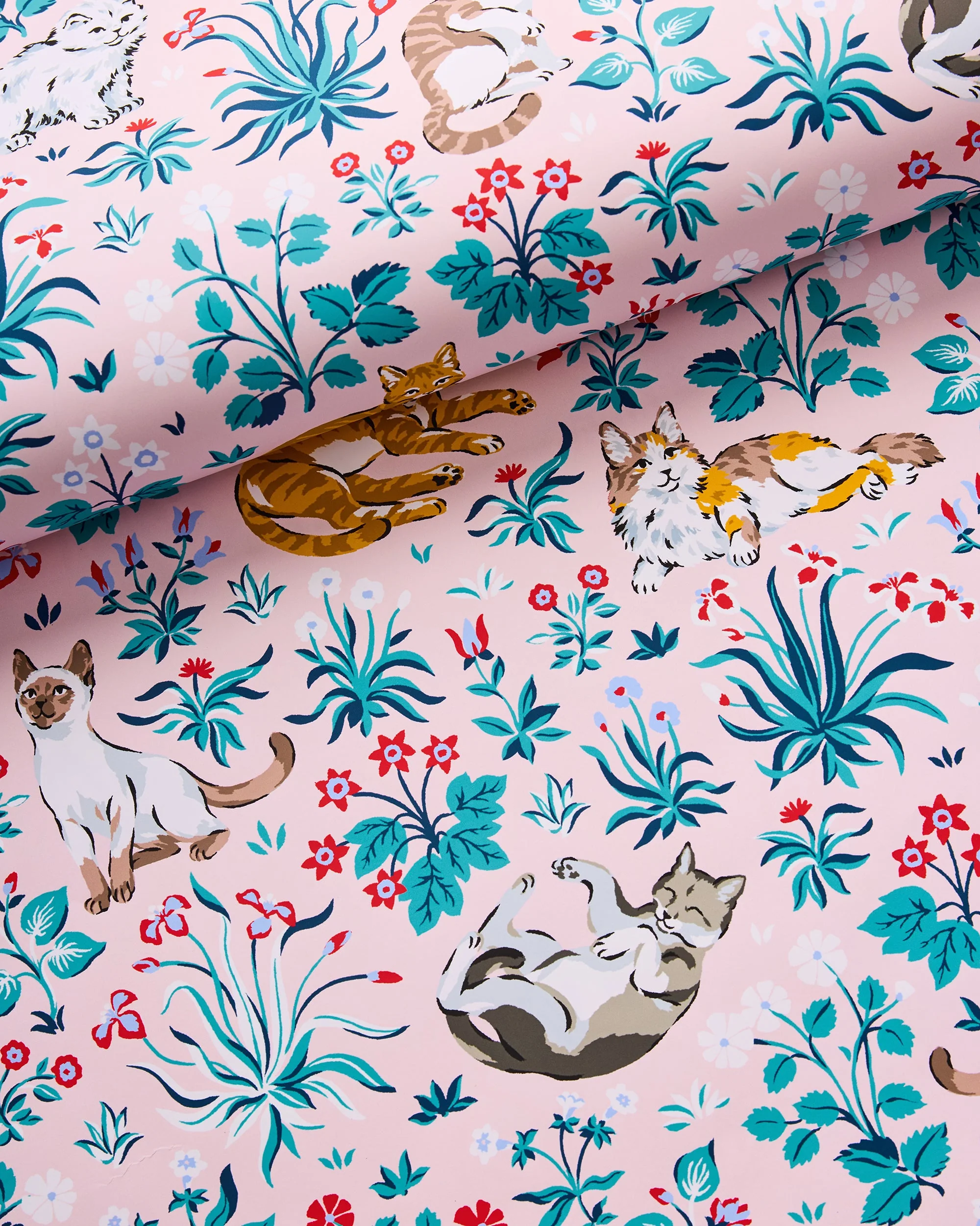 Must Love Cats - Peel & Stick Wallpaper - Pink - Image 7